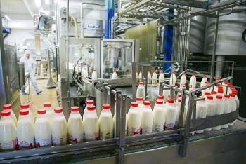 На Сумщине уменьшилось производство молока почти на 13%