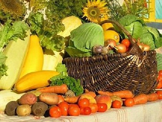 Сумские аграрии помогут Востоку Украины