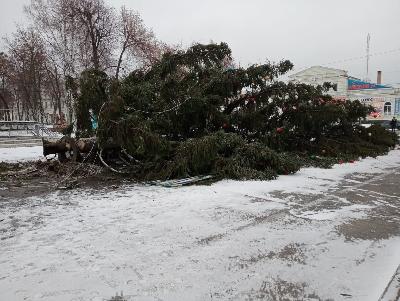 Сильный ветер повалил главную елку в Лебедине