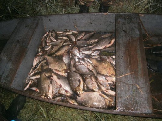 На реке Ворскла задержаны браконьеры
