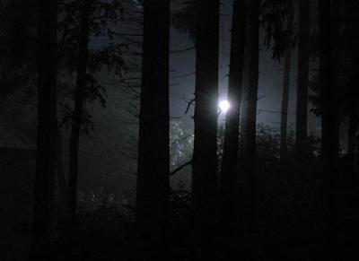 Заблудилась в ночном лесу: как полицейские спасли жительницу Сумщины