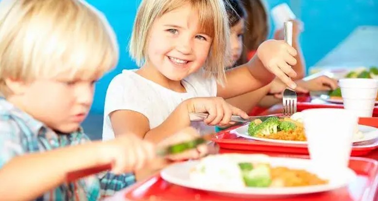 Посуда для школьной столовой: критерии и особенности выбора