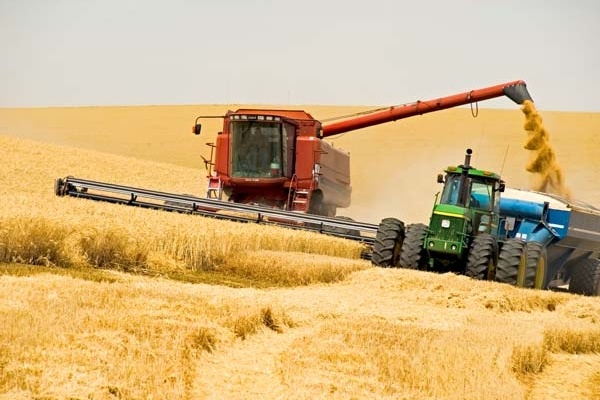 На Белопольщине собрали рекордный урожай ранних зерновых