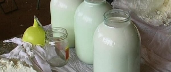 На Сумщине - самая низкая цена за литр молока