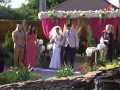 Организация европейской свадьбы в Сумах